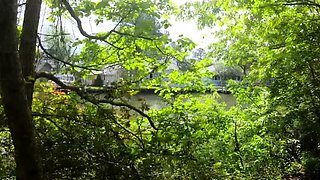 AmWednesday - in a forest