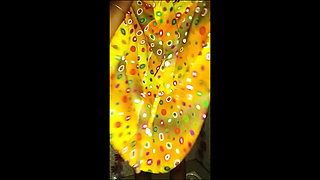 18 Year Old Asian Girl Nude Bath Show, College Girl Navel Show