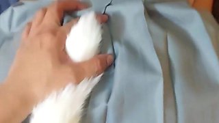 Schoolgirl Fucking Her with a Foxtail in the Ass