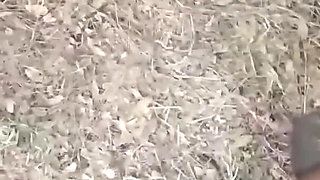 Desi Wife Fuking Outdoor Marathi Wife Doggy Style Fuck Big Ass