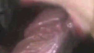Cicciolina and Other Sluts Fucking with Rocco Siffredi and Roberto Malone