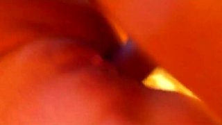 German Blonde Lexi Jaxson Gets Cream Pie from Gardener - Hot Amateur Fuck