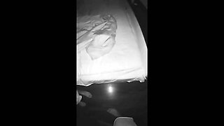 Wife and friend... IN MY bed?! You're fucked up!