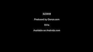 Interracial Anal And Blowjob