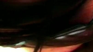 Trailer 499