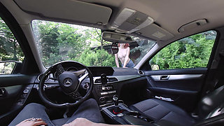 Car Quickie