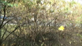 Teenenger Fucked in the Park and Squirted in Mouth