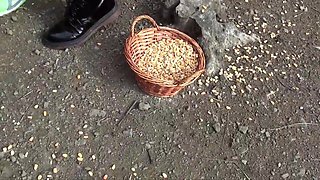 Pump Chain Testers #1