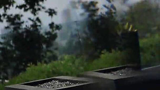 Hardx aubree gets anally wild