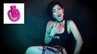 Wear the Clitty Chastity for a Month Let's Shrink Your Leftover Shrimp Locktober Shrinking