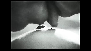Vintage porn retro erotic theatre - The visitor