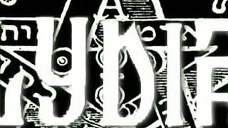 Trailer504