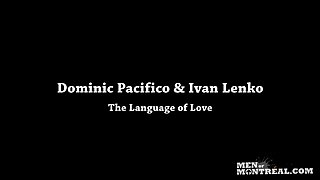 The Language Of Love - Bro Network