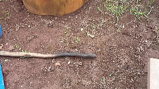 Pissing Pussy From Behind Amazing View