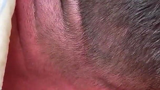 Sneaky Peak After College Opening