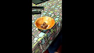 Cumpilation N 7! 10 Cumshots, 28 Mins of Cumplay!