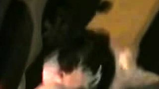 Cute brunette amateur blowjob