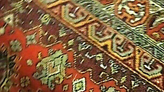 My holes are all working and ready for sex