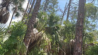 Full Public Day Video
