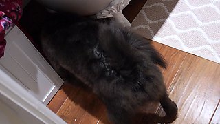 Sexy black amateur caught taking a shower on hidden cam