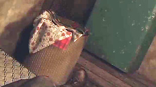 After the Apocalypse 2