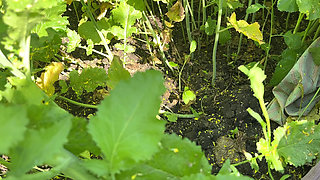 Desi girlfriend outside  injoy, full xxx video