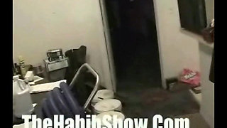 The Habib Springer Show!