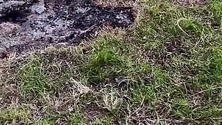 I Walk Without Panties in Nature. and I Jerk off My Excited Pussy by the Fire