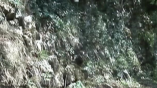 BBW MILF Caught Pissing in the Woods by a Young Man with a Hard Cock