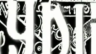 Trailer 336