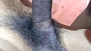 Milk or lond sucking