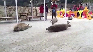 Hinata Doesn't Deserve What Happened With Her (Jikage Rising #5)