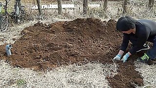 Mummified and buried