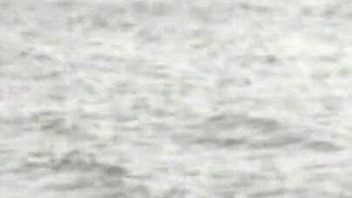 Trailer388