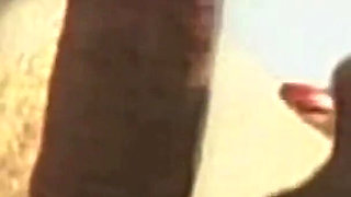 The Wind and the Sea for a Wild Interracial Anal Experience