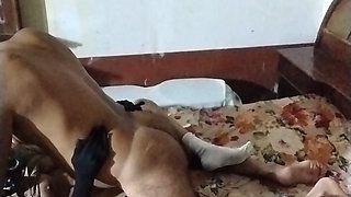 Chachi ki mast choot aaj maar he li