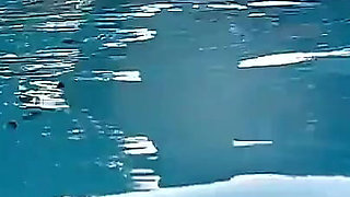 Couple Underwater Diving and Swimming