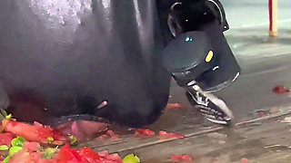 Slave Eats Dessert Stepped on the Floor