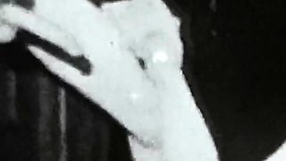 Vintage porn retro erotic theatre - Triple affair