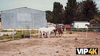Vip4k. city shaft, country girls