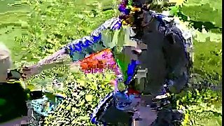 Blonde ass fucked on the lawn by group of people