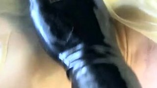 An amateur MILF blowjob followed by hot fucking