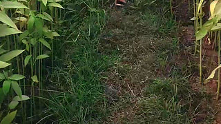 Hot Bengali Boudi Xvideo