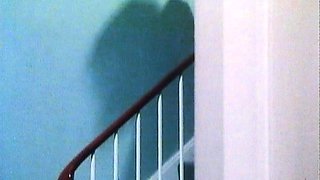 Hardcore Vintage Bareback Sex