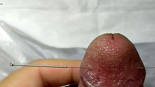 CBT needling penis