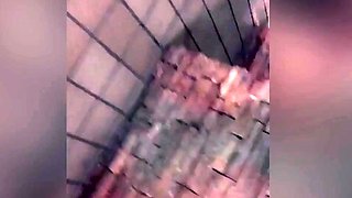 Cute brunette young hookup amateur teen blowjob