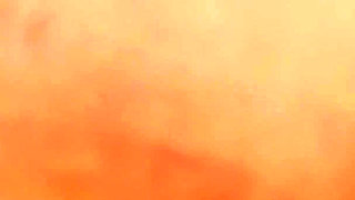 Knee High Socks Featuring Stella Cox