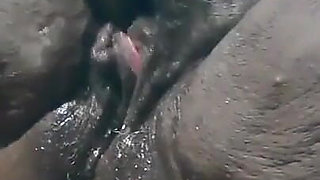 Ebony Squirting Pussy Big Clit