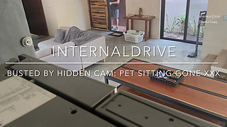 Busted by Nanny Video Cam Pet Sitting Gone