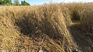 Extreme Sex in the Field. the Beauty Swears and Moans Loudly. POV